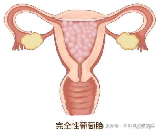 微信图片_2026-02-02_165338_512.jpg 微信图片_2026-02-02_165338_512.jpg