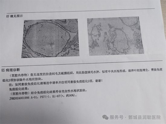 微信图片_2026-02-02_165404_135.jpg 微信图片_2026-02-02_165404_135.jpg