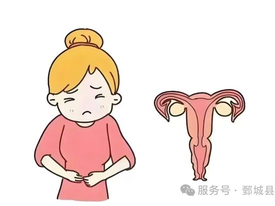 微信图片_2026-03-18_153158_335.jpg 微信图片_2026-03-18_153158_335.jpg