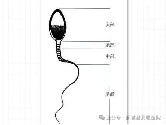 <img src=upfile/images/2026/03/18/small3_17738206094093854.jpg height=350>