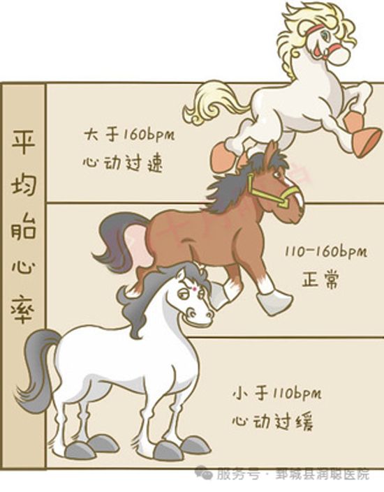 【健康科普】读懂宝宝的健康“电码”：一篇讲清胎儿监护