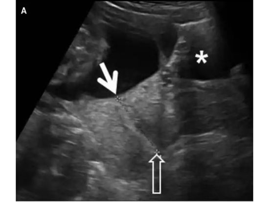 微信图片_2026-04-14_142109_926.jpg 微信图片_2026-04-14_142109_926.jpg