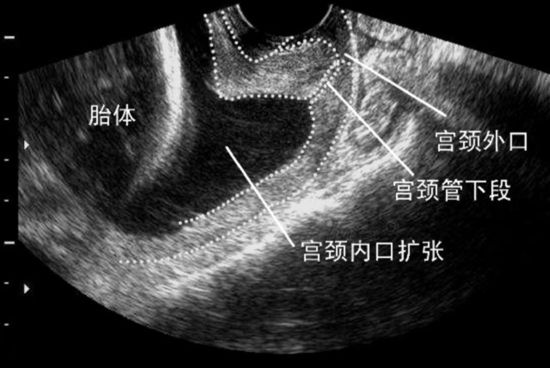 微信图片_2026-04-14_142118_684.jpg 微信图片_2026-04-14_142118_684.jpg