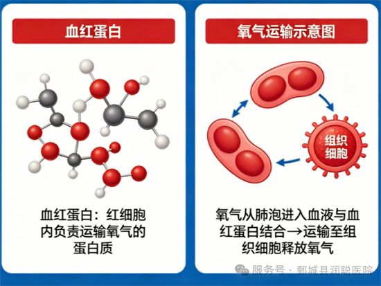 微信图片_2026-05-11_102051_742.jpg