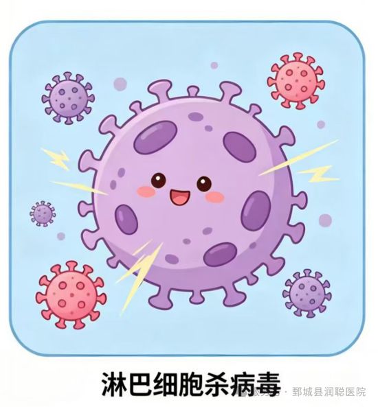 【健康科普】血常规小科普｜一张化验单，读懂身体的小信号