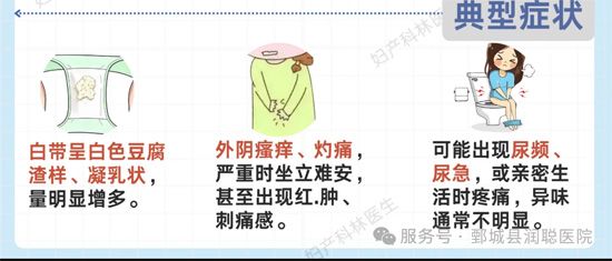 【健康科普】恼人的“难言之隐”：一文读懂外阴阴道假丝酵母菌病