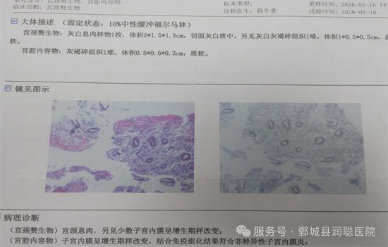 微信图片_2026-06-03_145351_113.jpg 微信图片_2026-06-03_145351_113.jpg