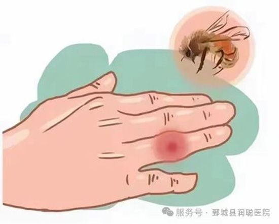 微信图片_2026-06-05_105614_359.jpg