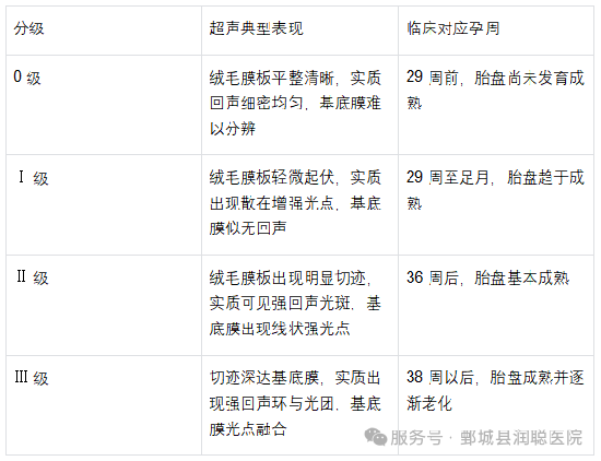 【健康科普】方寸胎盘，守护十月怀胎