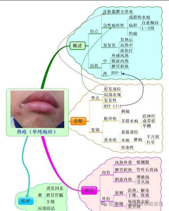 【健康科普】反复长水疱、灼热刺痛?中医带你科学认识“热疮”
