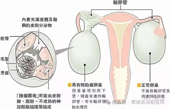微信图片_2026-07-30_143509_959.jpg