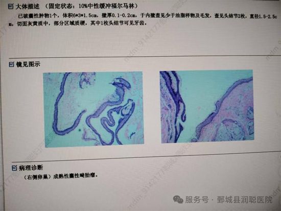 微信图片_2026-07-30_143523_056.jpg