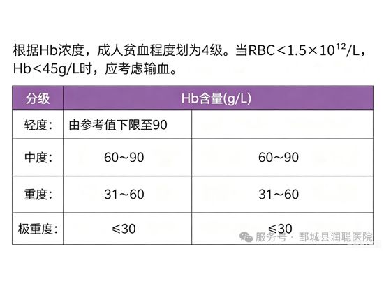 【健康科普】贫血,藏在身体里的疲惫 ——王亚晴
