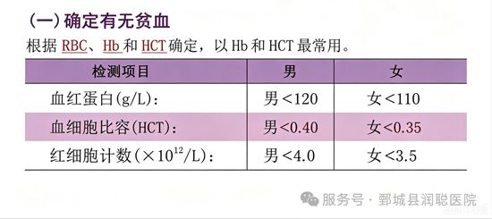 【健康科普】贫血，藏在身体里的疲惫 ——王亚晴