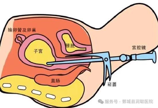微信图片_2026-08-07_171651_868.jpg 微信图片_2026-08-07_171651_868.jpg