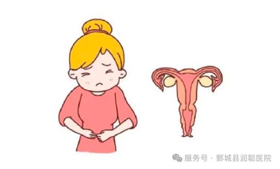 微信图片_2026-08-29_150133_941.jpg