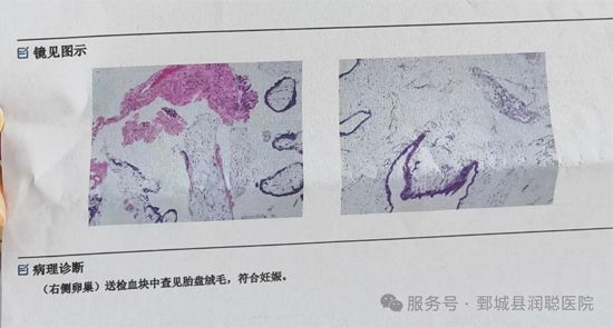 微信图片_2026-08-29_150200_047.jpg