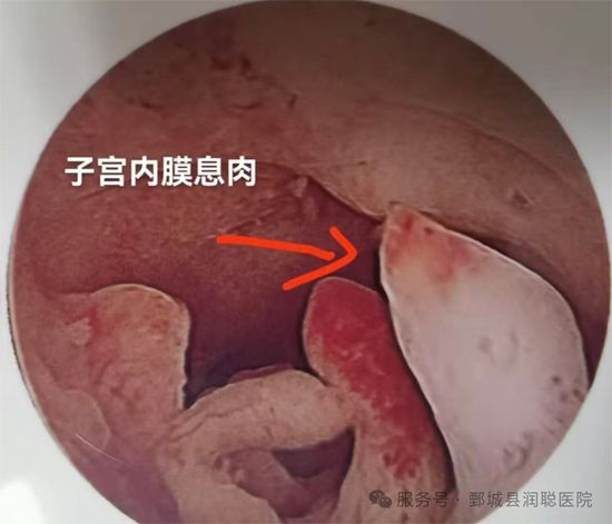 微信图片_2026-09-04_171404_657.jpg