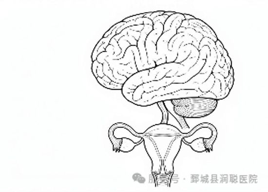 【健康科普】不孕症患者的情感危机——不孕症患者的隐秘情感危机，值得被看见与治 愈——任丽娟
