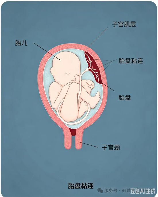 微信图片_2026-10-09_144921_903.jpg