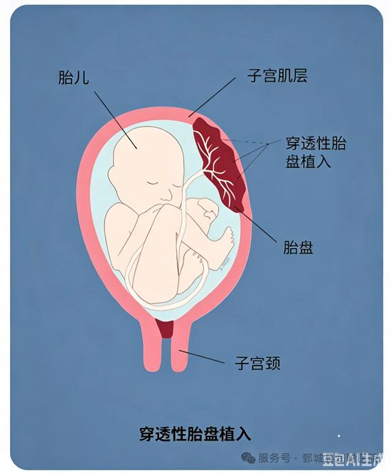 微信图片_2026-10-09_144943_693.jpg