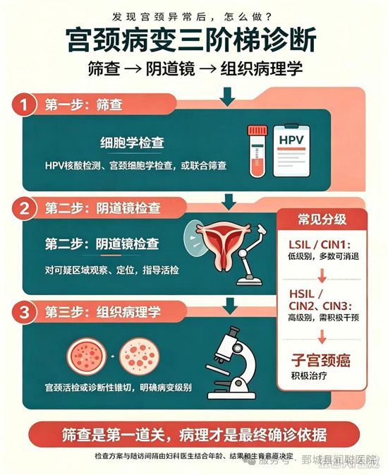 微信图片_2026-10-09_150716_675.jpg