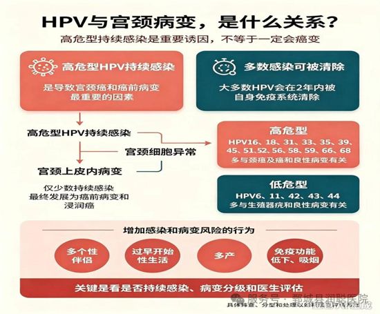 【健康科普】关爱女性健康：读懂“宫颈上皮内病变”，远离宫颈癌——李慧